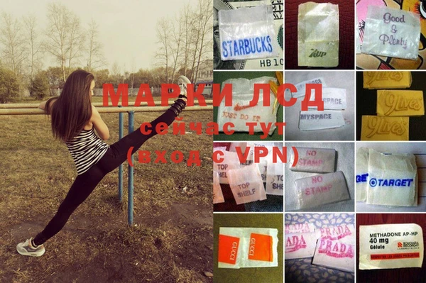 a pvp Белоозёрский
