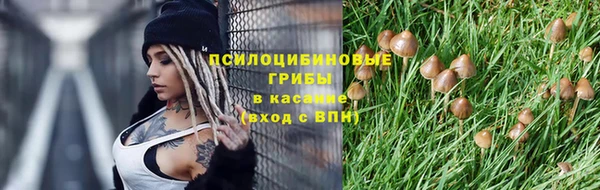 mix Белокуриха