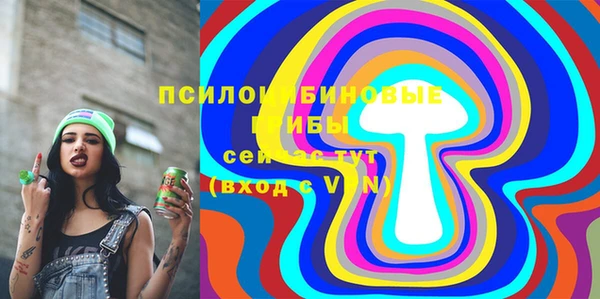 mix Белокуриха