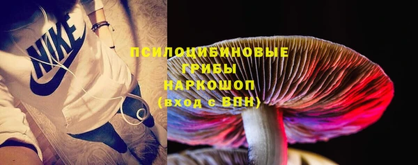 mix Белокуриха