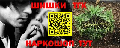 Альфа ПВП Сланцы